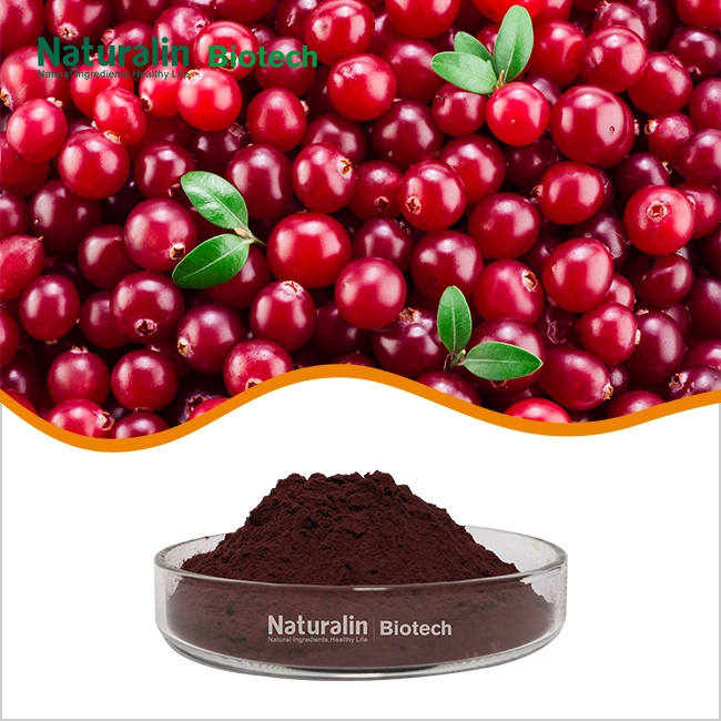 Organic Cranberry Extract Powder